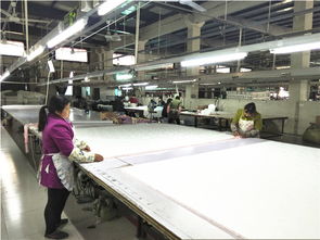 良心推薦 小永遠(yuǎn)羽絨被加工廠品質(zhì)優(yōu)價(jià)廉，誠(chéng)招代理加盟